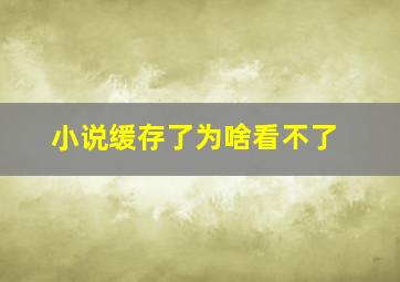 小说缓存了为啥看不了