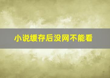 小说缓存后没网不能看