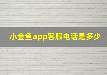 小金鱼app客服电话是多少