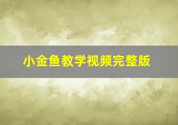 小金鱼教学视频完整版