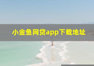 小金鱼网贷app下载地址