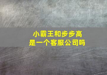 小霸王和步步高是一个客服公司吗