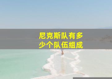 尼克斯队有多少个队伍组成