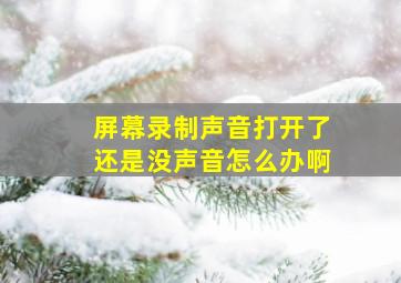 屏幕录制声音打开了还是没声音怎么办啊