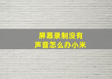 屏幕录制没有声音怎么办小米