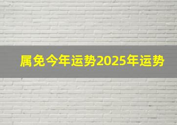 属免今年运势2025年运势