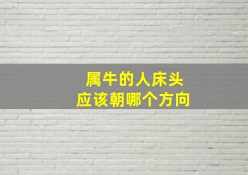 属牛的人床头应该朝哪个方向