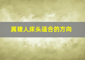 属猪人床头适合的方向