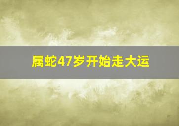 属蛇47岁开始走大运