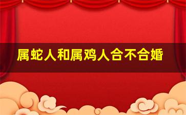 属蛇人和属鸡人合不合婚