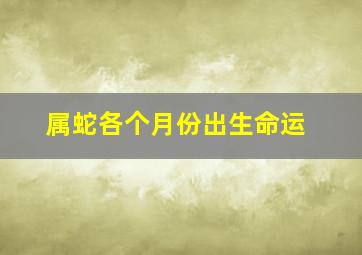 属蛇各个月份出生命运