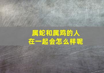 属蛇和属鸡的人在一起会怎么样呢