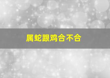 属蛇跟鸡合不合