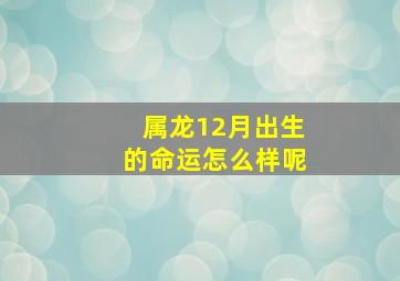 属龙12月出生的命运怎么样呢