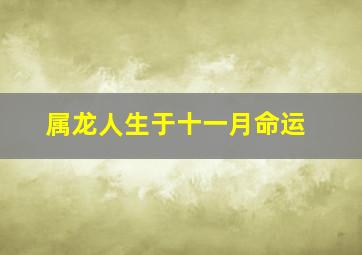 属龙人生于十一月命运