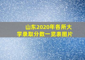 山东2020年各所大学录取分数一览表图片