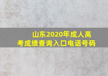 山东2020年成人高考成绩查询入口电话号码