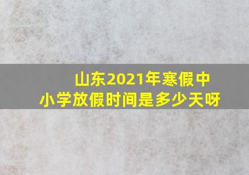 山东2021年寒假中小学放假时间是多少天呀