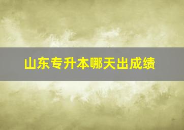 山东专升本哪天出成绩