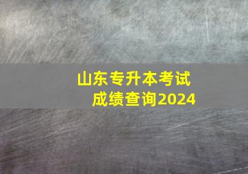 山东专升本考试成绩查询2024