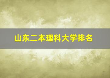 山东二本理科大学排名