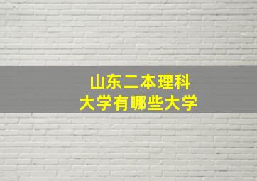 山东二本理科大学有哪些大学