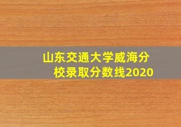 山东交通大学威海分校录取分数线2020