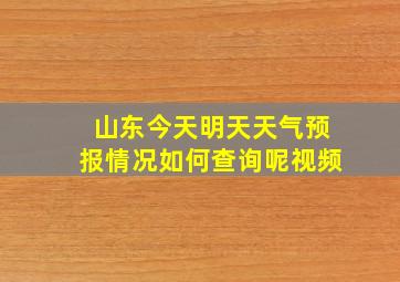 山东今天明天天气预报情况如何查询呢视频