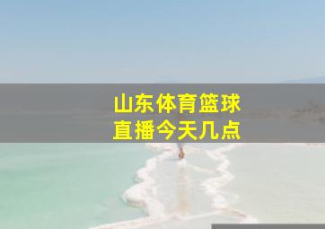 山东体育篮球直播今天几点