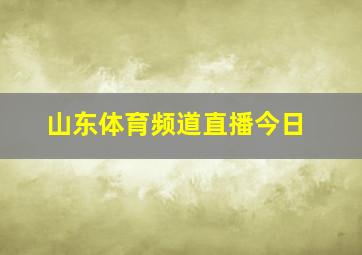 山东体育频道直播今日