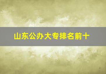 山东公办大专排名前十