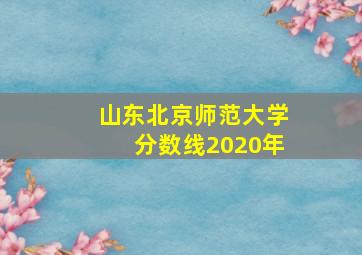 山东北京师范大学分数线2020年