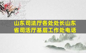 山东司法厅各处处长山东省司活厅基层工作处电话