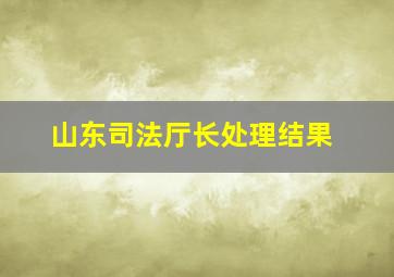 山东司法厅长处理结果