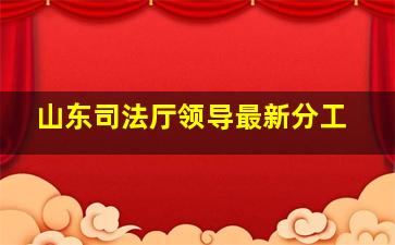 山东司法厅领导最新分工