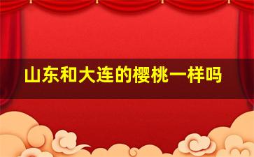 山东和大连的樱桃一样吗