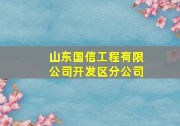 山东国信工程有限公司开发区分公司