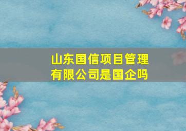 山东国信项目管理有限公司是国企吗