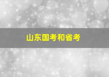 山东国考和省考