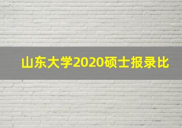 山东大学2020硕士报录比