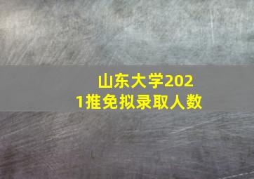 山东大学2021推免拟录取人数