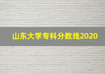 山东大学专科分数线2020