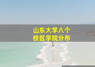 山东大学八个校区学院分布