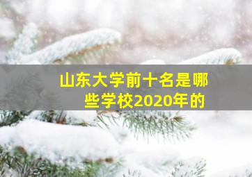 山东大学前十名是哪些学校2020年的