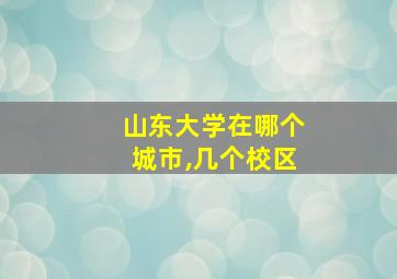 山东大学在哪个城市,几个校区