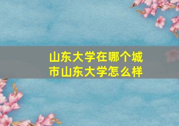 山东大学在哪个城市山东大学怎么样