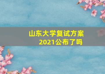 山东大学复试方案2021公布了吗