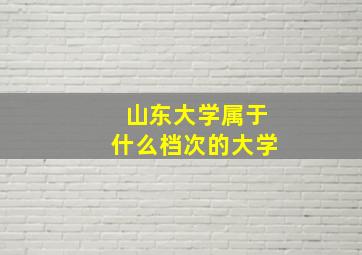 山东大学属于什么档次的大学