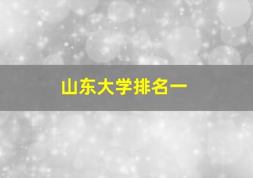 山东大学排名一