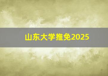 山东大学推免2025